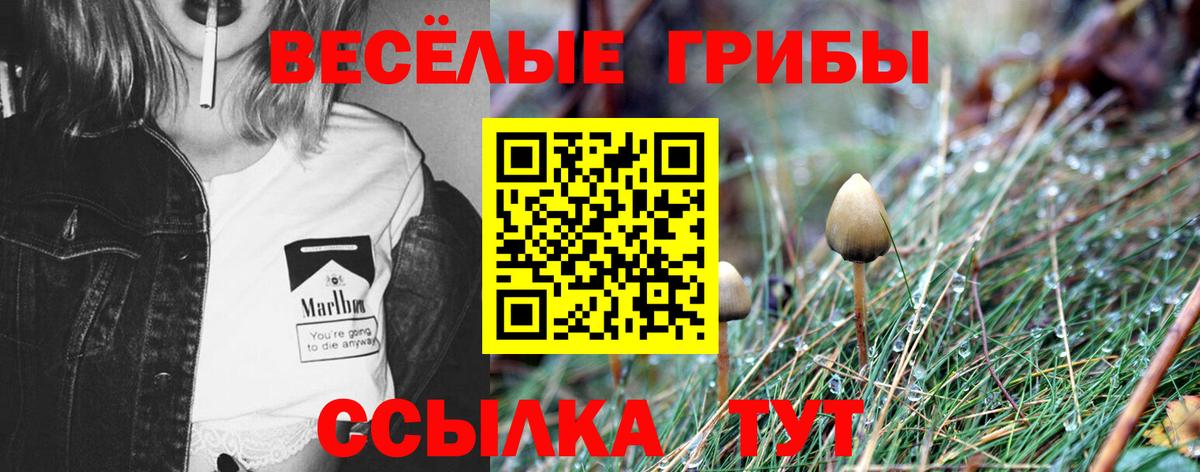 Сухой Лог  Галлюциногенные грибы Magic Shrooms  Псилоцибиновые грибы Cubensis  Вход с VPN 