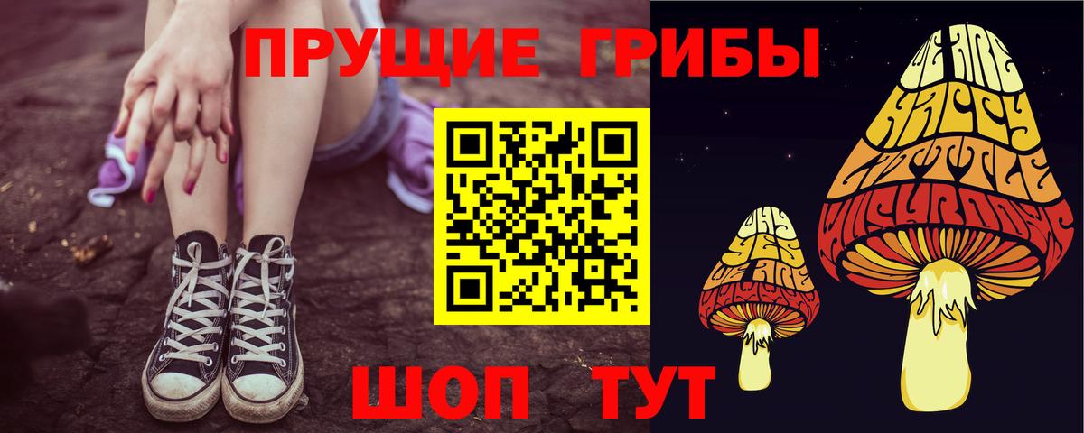 Псилоцибиновые грибы Psilocybe Сухой Лог